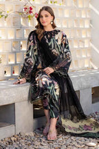 Noor